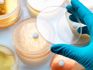Double-clicking on novel drug leads