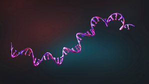 Structural clues into how an enzyme slices RNA