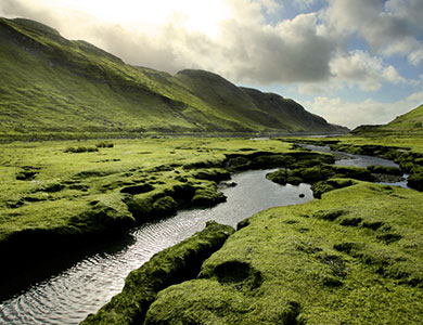 Leading institutions in Earth & environmental sciences