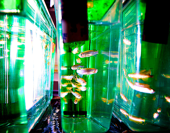 Leading institutions in biological sciences