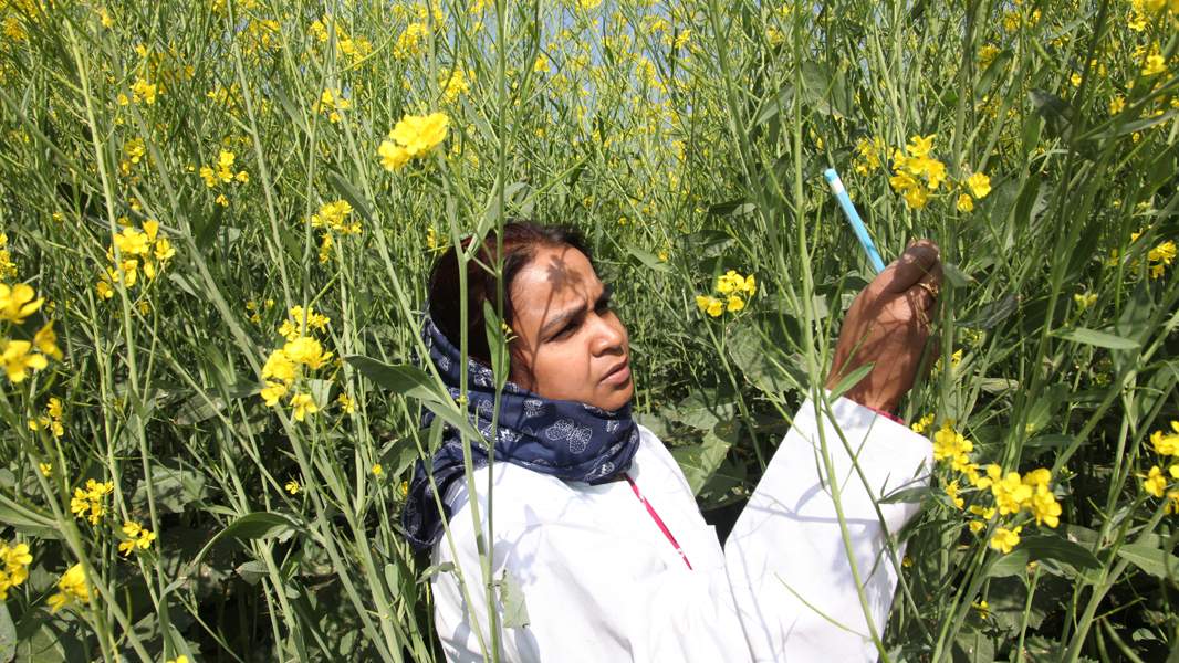 China leads in natural sciences, India enters top ten