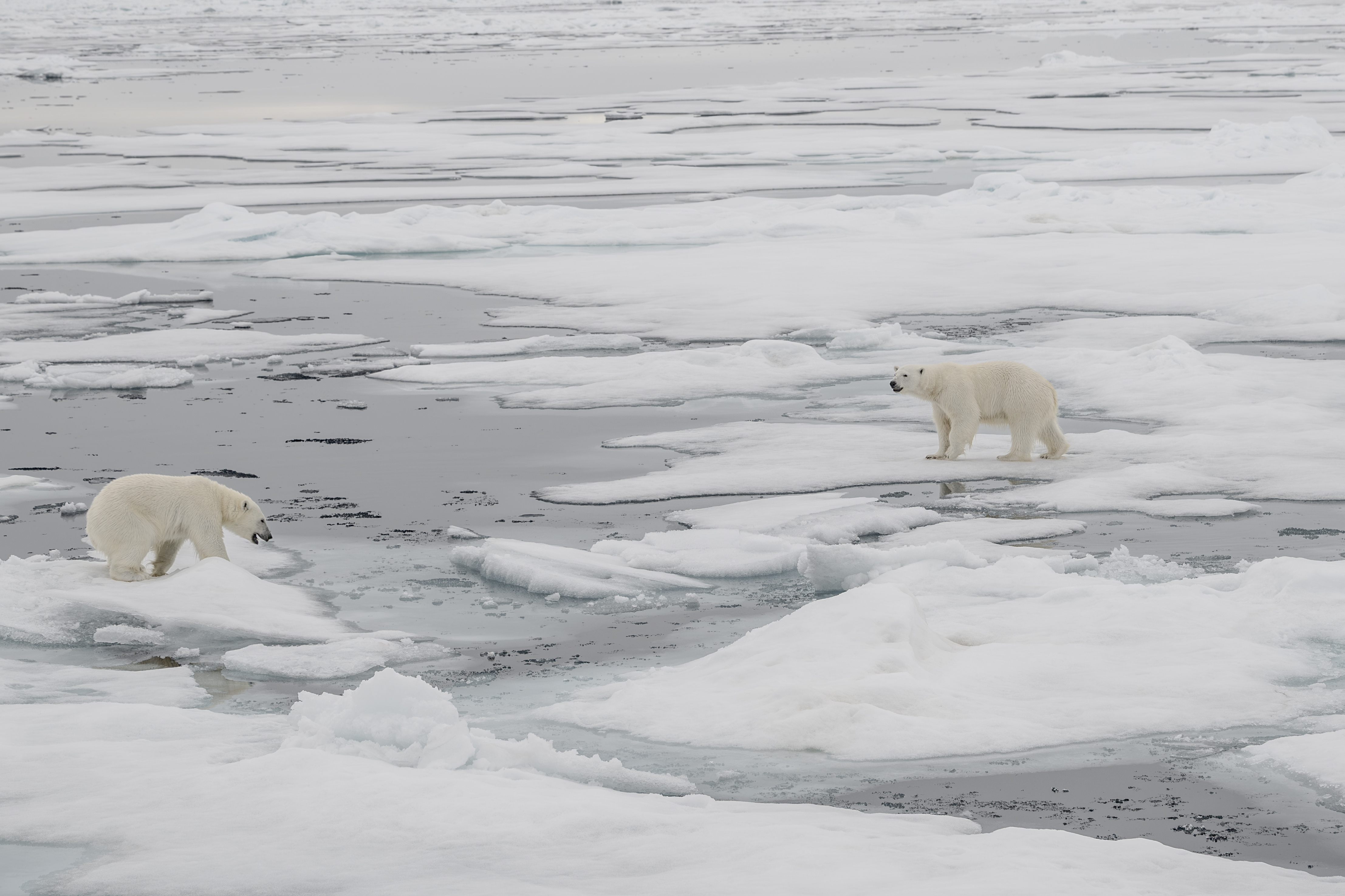 Nature Index 2023 Climate and Conservation