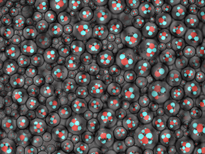Nature Index 2026 Nanoscience and nanotechnology